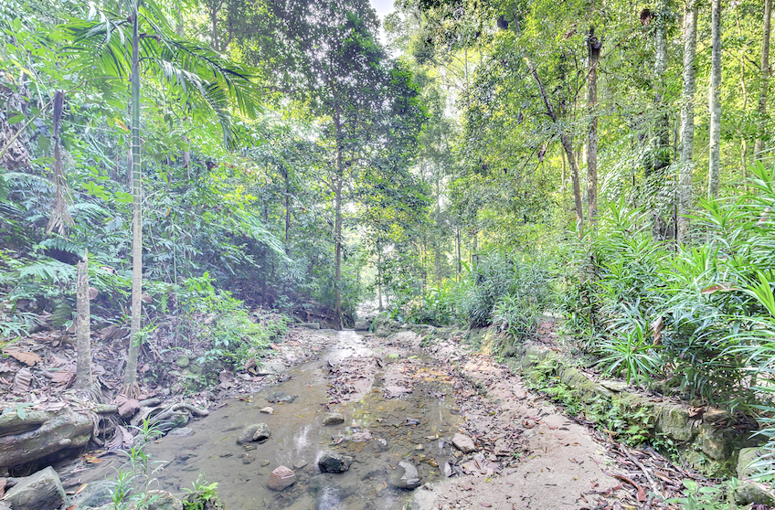 Cherok Tekun National Park