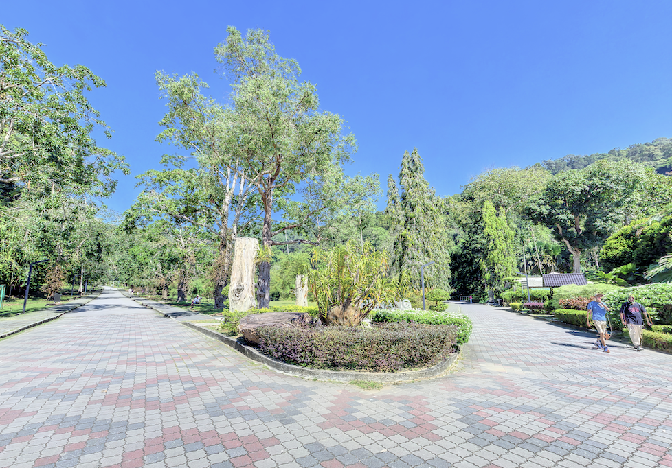 Botanical Gardens Penang